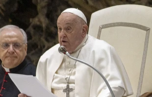 El Papa Francisco en el Aula Pablo VI en el Vaticano en la Audiencia General del 5 de febrero de 2025. Crédito: Daniel Ibáñez / EWTN News.